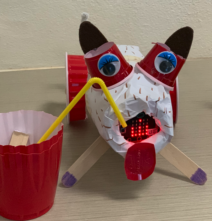 Microbit the possibilities are endless CSER Digital Technologies